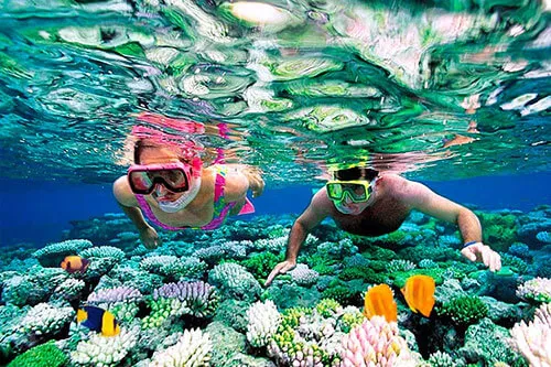 Couple looking at coral reefs while snorkeling