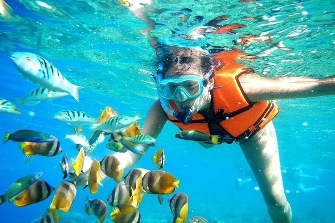 Underwater picture of woman wearing life jacket while snorkeling looking at a fish shoal