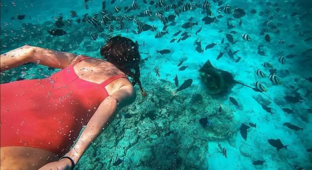 Woman with fullbody swimsuit swimming underwater and looking at fish and rays