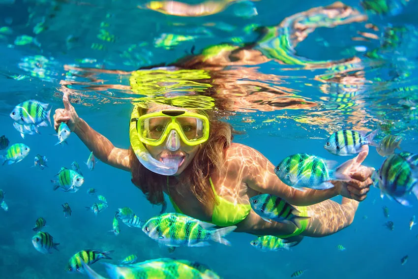 Underwater picture of young woman posing behind group of fish while snorkeling