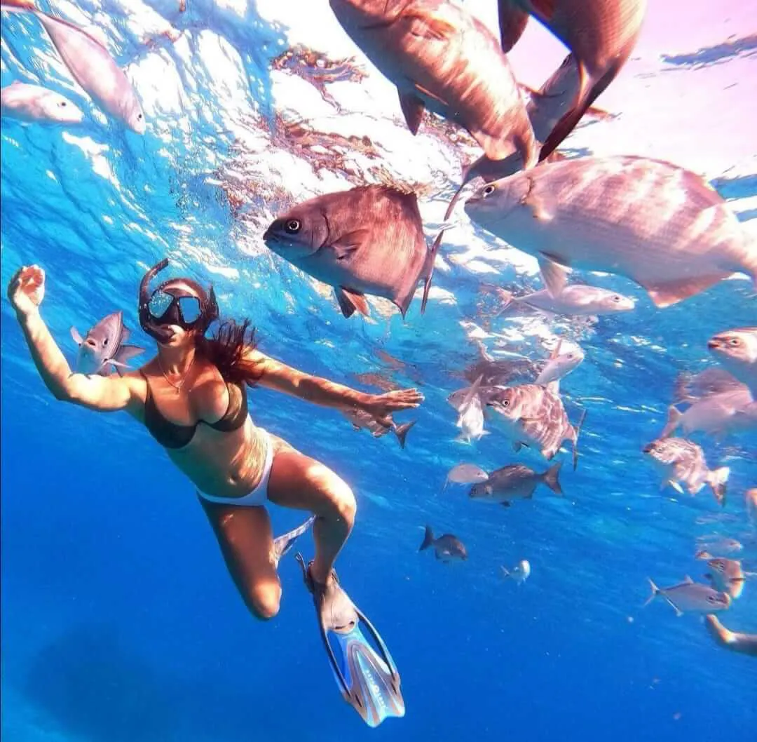 Snorkeler woman swimming among small fish shoal