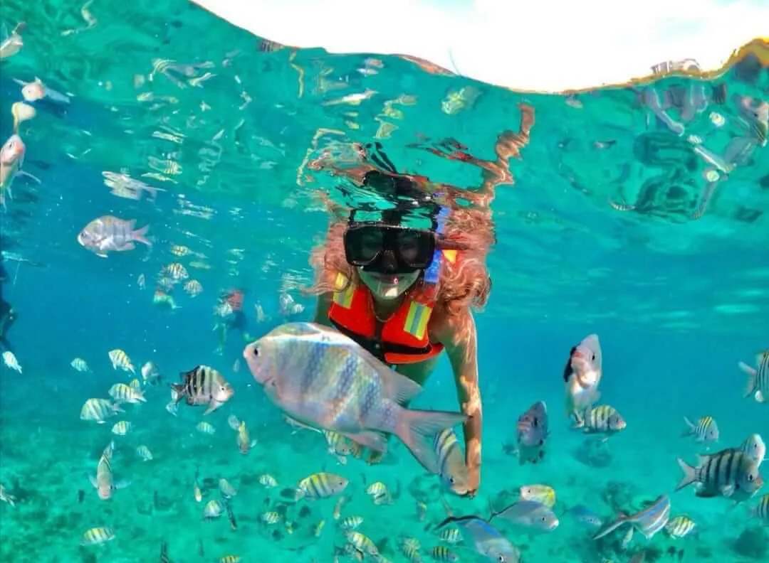 Mujer viendo peces mientras bucea en la superficie | Cancun Snorkeling