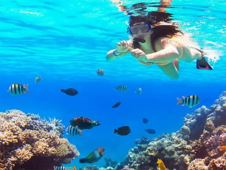 Mujer buceando bajo agua rodeada de peces | Cancun Snorkeling