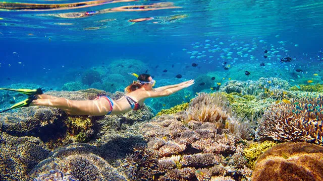 Snorkeling woman swimming underwater over coral reefs