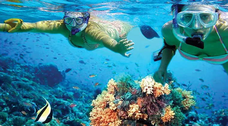 Two girls snorkeling on the surface surrounded by fish and snapping a selfie