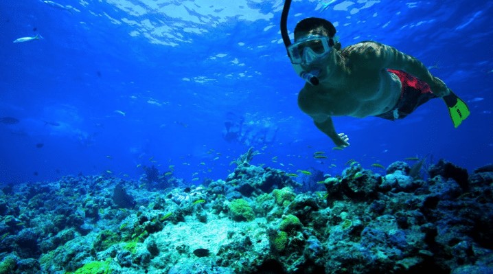 Man snorkeling underwater around coral reefs at Chitales reef