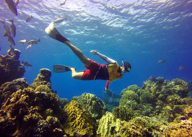 Snorkeling man wearing fins swimming above coral reefs at Columbia reef