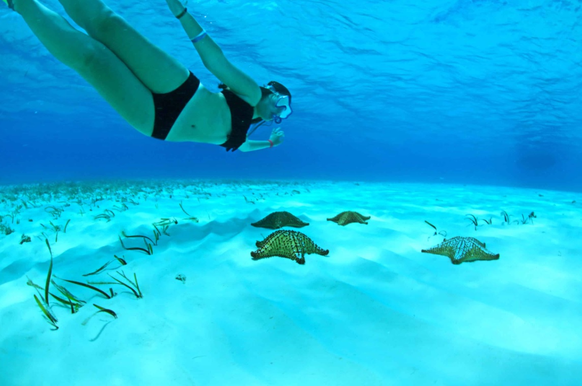Young snorkeling woman watching starfishes up-close at El Cielo, Cozumel