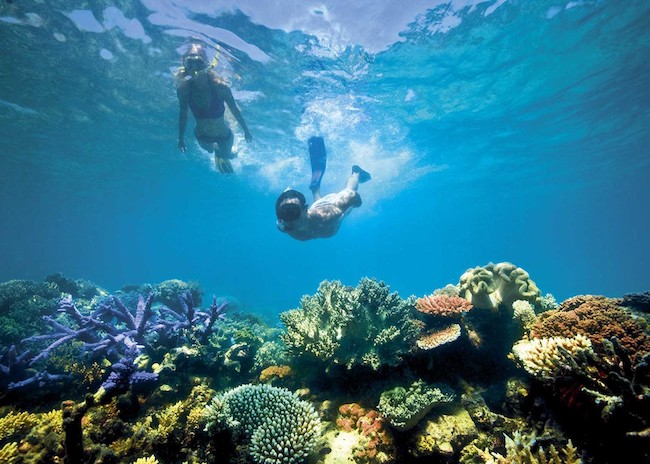Snorkeling couple exploring coral reefs underwater at Palancar reef