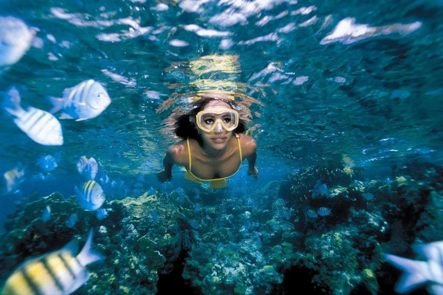 Woman snorkeling in the surface near coral reefs and fish