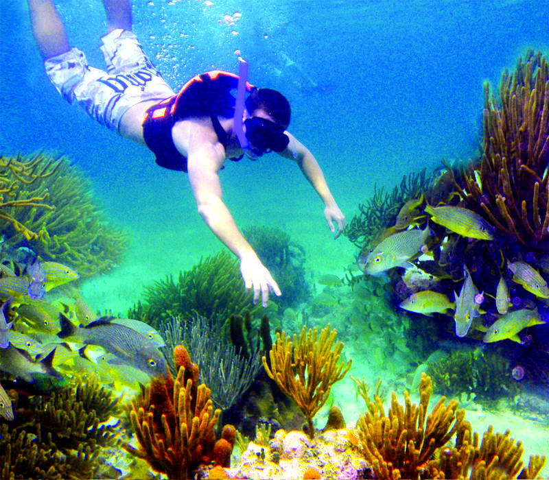 Man swimming through fish getting close to anemones and sea plants at Maroma reef