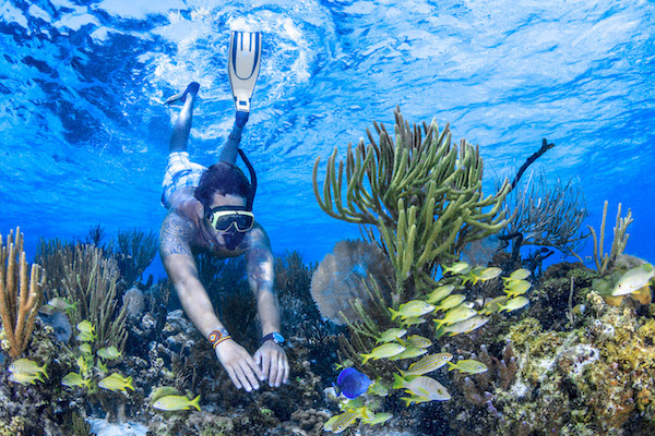 Man diving deep near to some coral reefs and fish shoal
