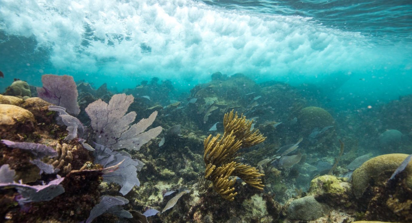 Wave breaking behind coral reef barrier around La Chimenea reef