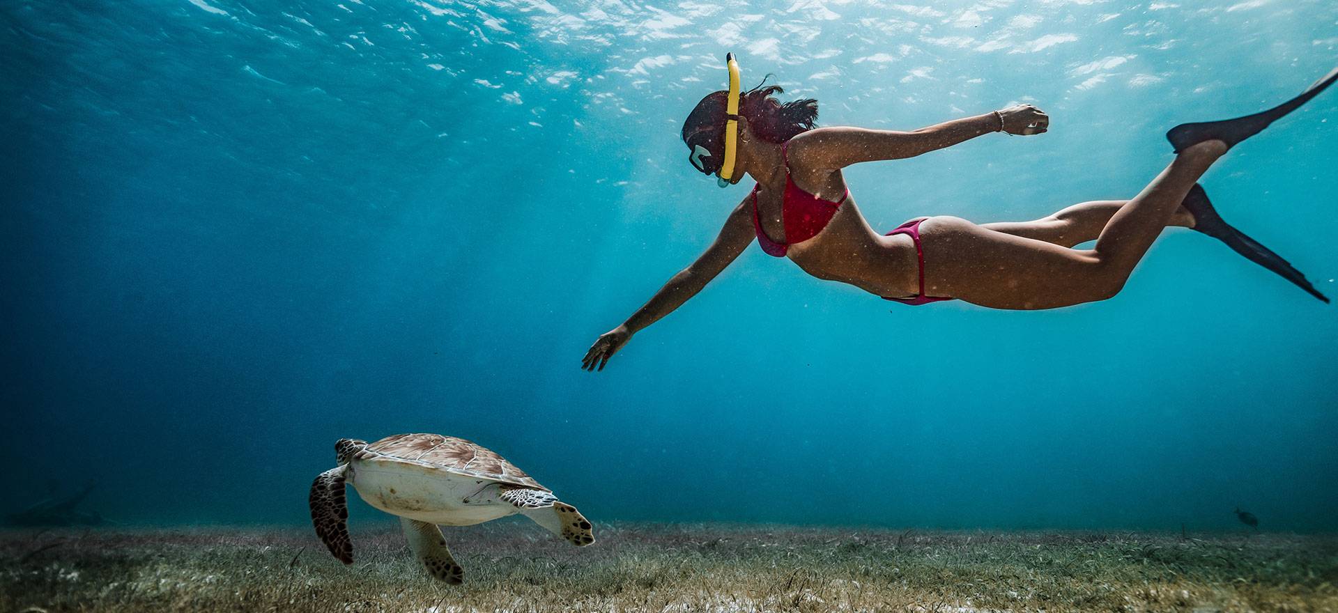 best snorkeling beaches in cancun