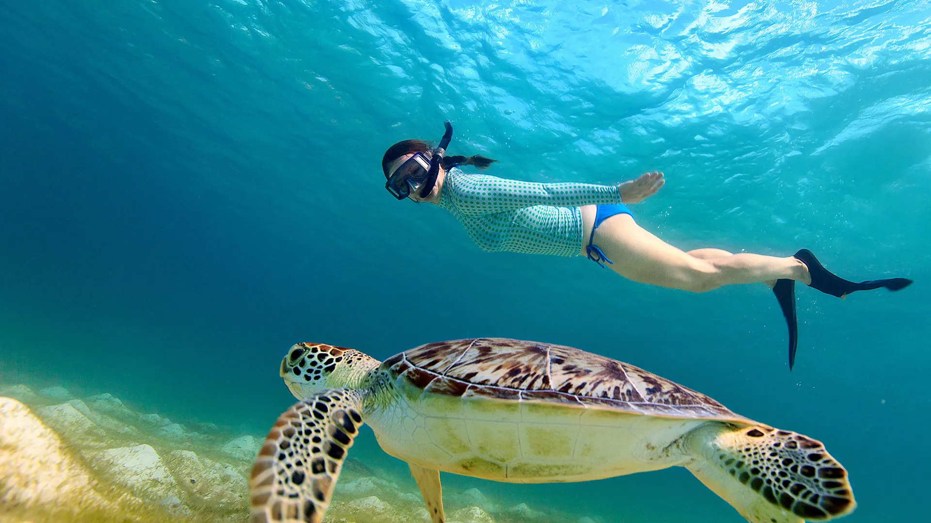 With Cancun Snorkeling, Immerse in the Caribbean & visit the second largest coral reef barrier in the world! Prices from: $50 usd